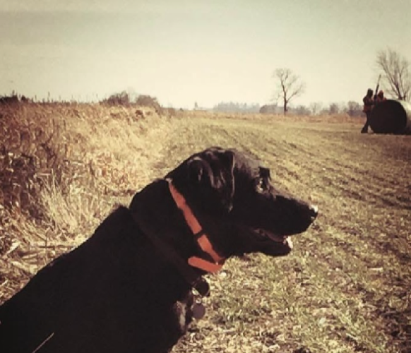 Screenshot 2025-07-07 at 12.18.41 PM